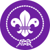 WOSM reversed