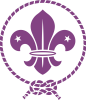 wosm logo